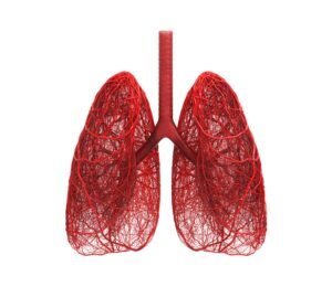 IMAGE OF LUNGS HIGHLIGHTED IN RED TO INCATE CANCER