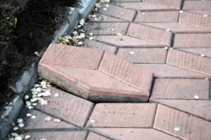 A large uplifted paving slab on the pavement.
