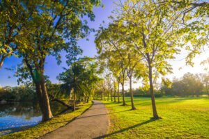 A green open space with trees and a lake. 